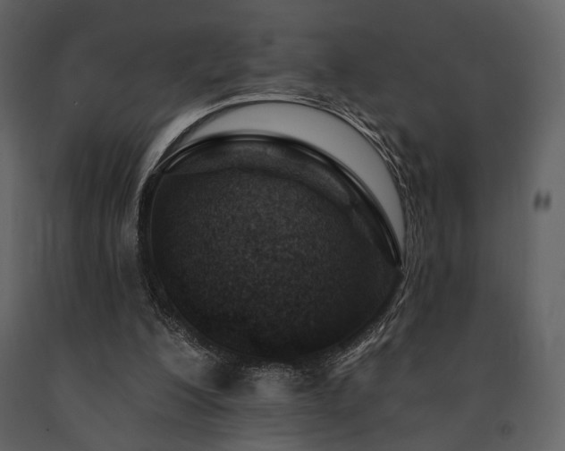 X0000091720200200708241357