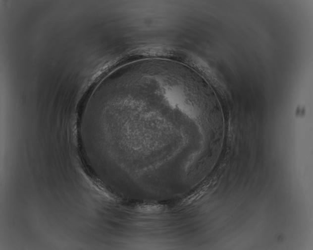X0000091720202200708241357