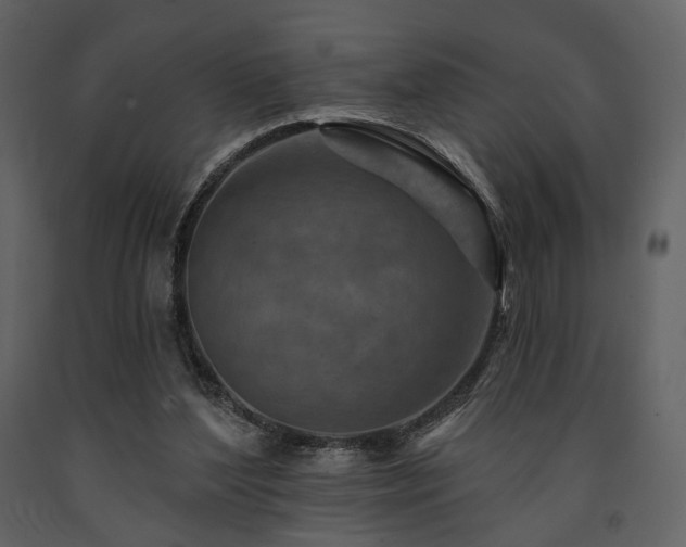X0000091720204200708241357