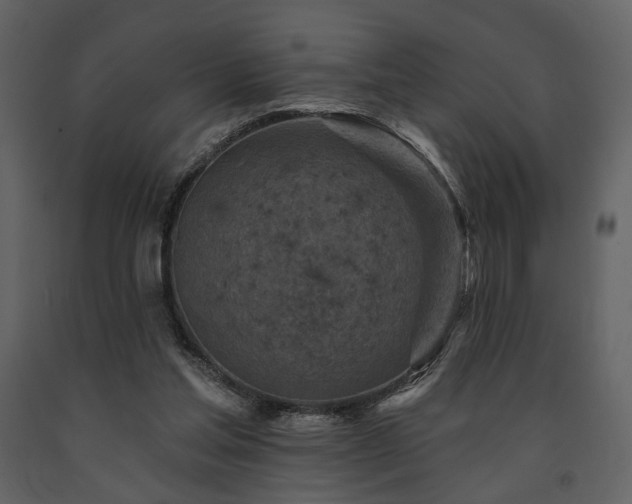 X0000091720205200708241357