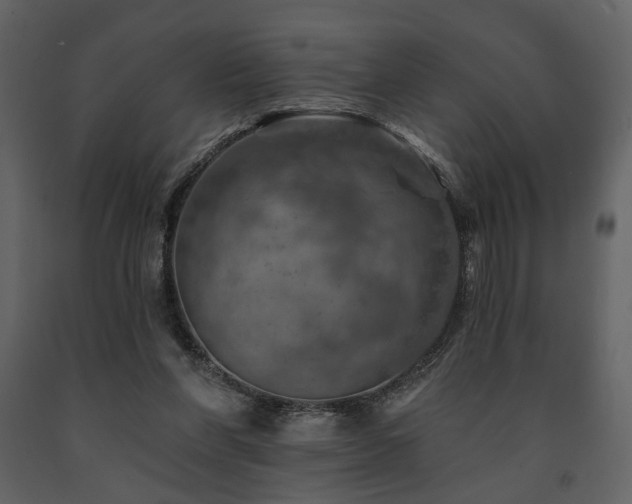 X0000091720206200708241357