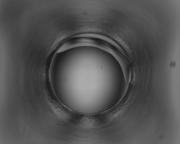 X0000091720207200708241357