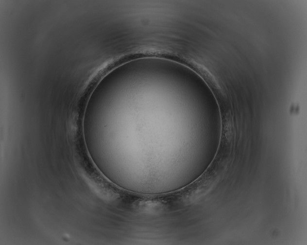 X0000091720208200708241357