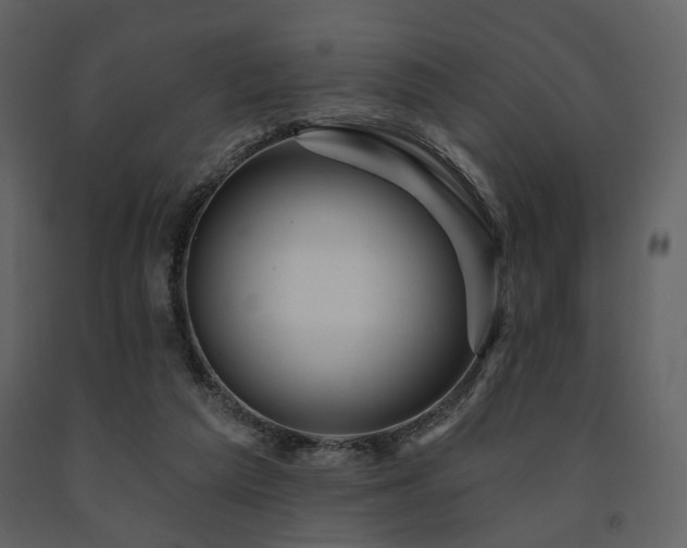 X0000091720209200708241357