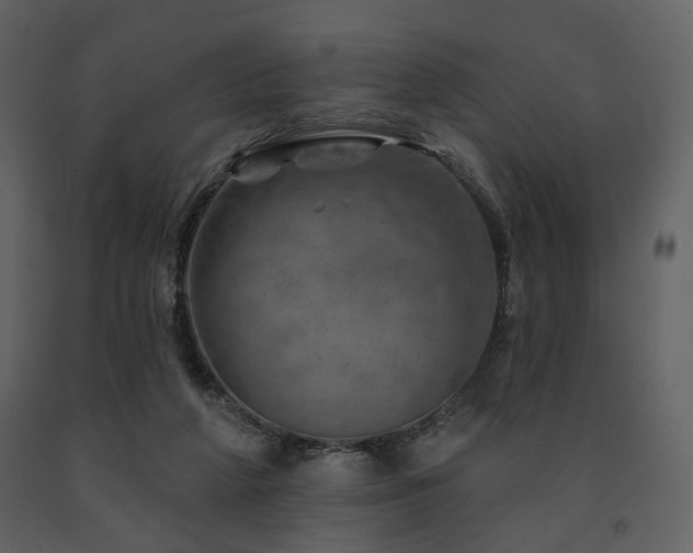 X0000091720210200708241357