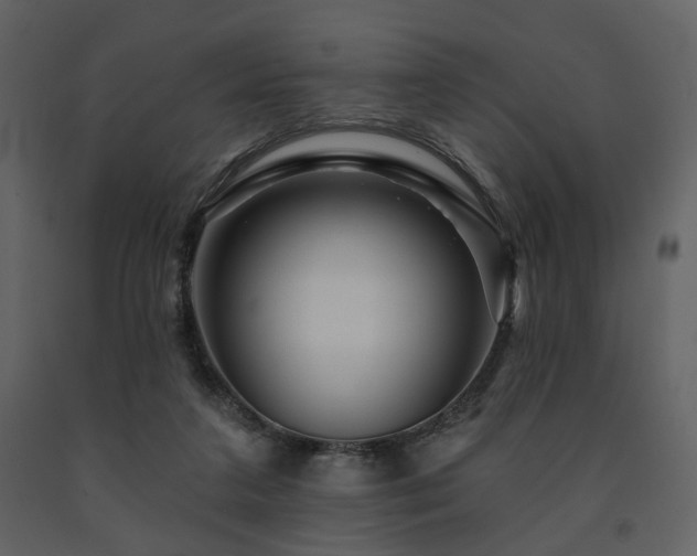 X0000091720211200708241357