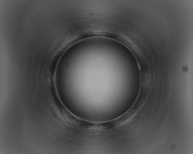 X0000091720213200708241357
