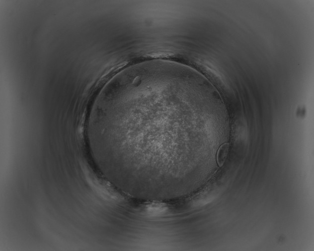 X0000091720214200708241357