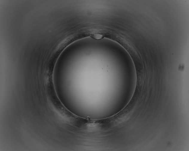 X0000091720216200708241357