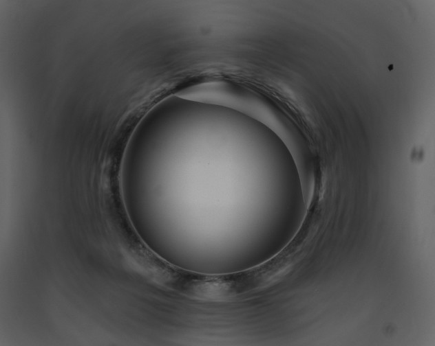 X0000091720217200708241357
