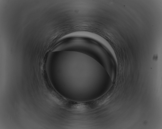 X0000091720219200708241357