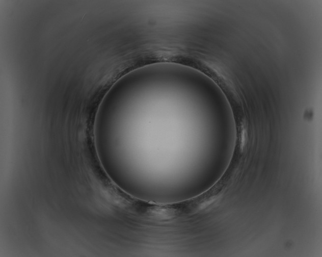 X0000091720221200708241357