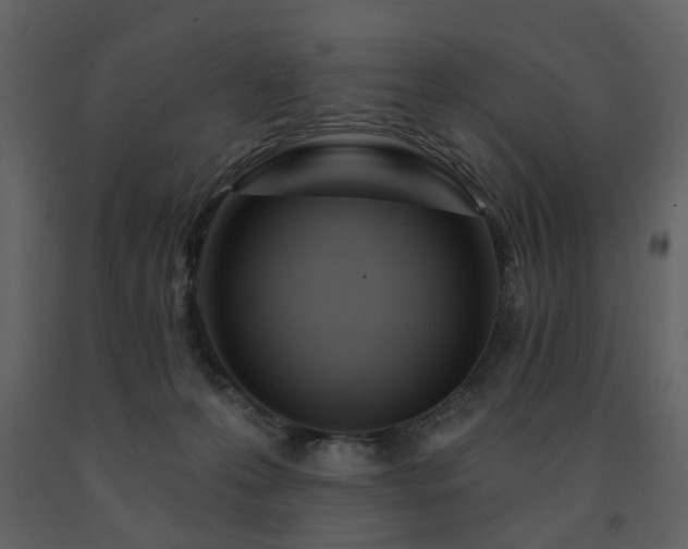 X0000091720223200708241357