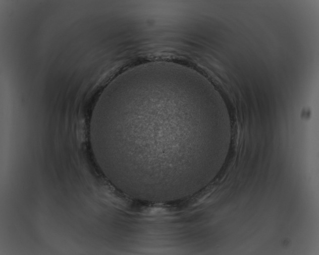 X0000091720224200708241357