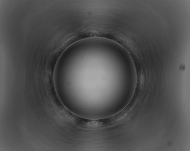 X0000091720225200708241357
