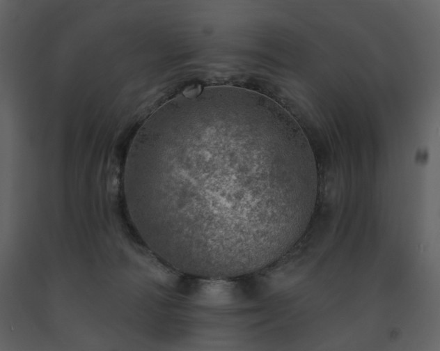 X0000091720226200708241357