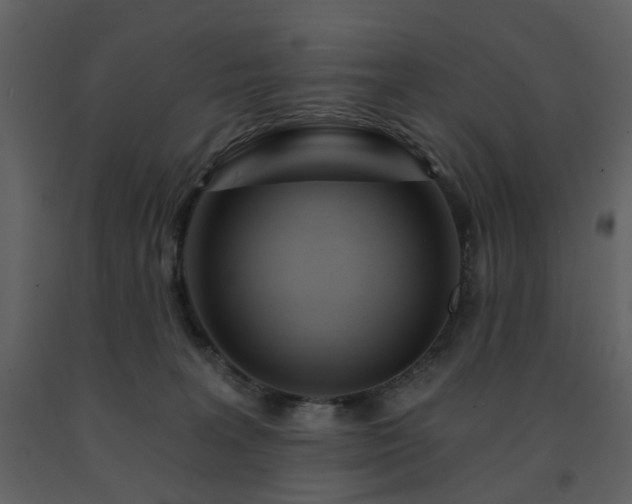 X0000091720227200708241357