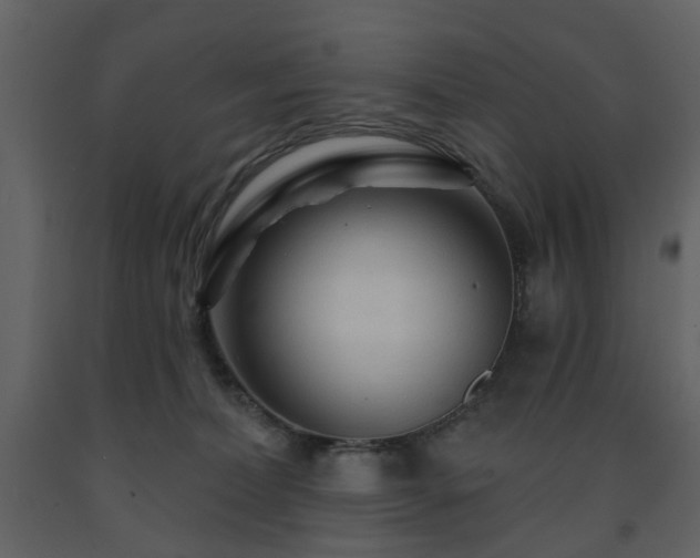 X0000091720228200708241357