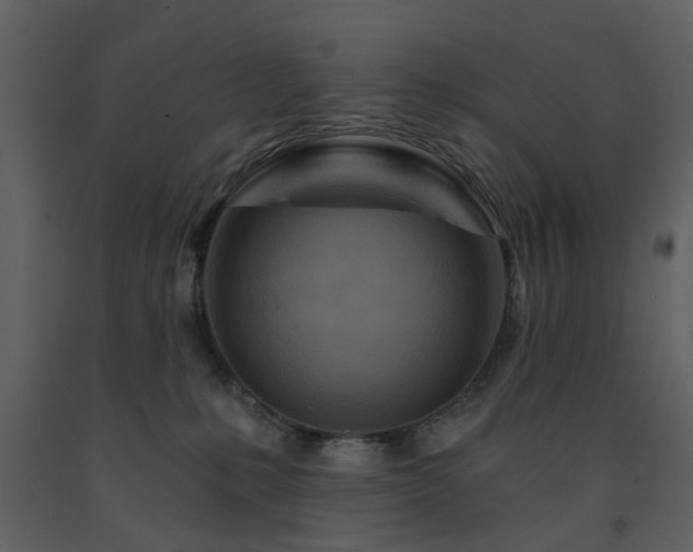 X0000091720231200708241357
