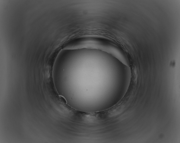 X0000091720232200708241357