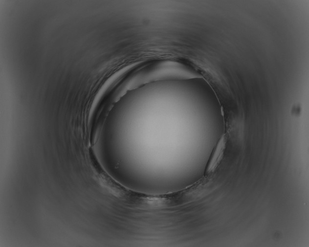 X0000091720233200708241357
