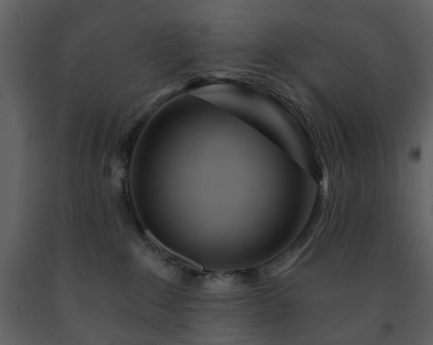 X0000091720235200708241357