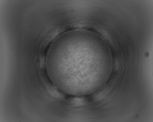 X0000091720236200708241357