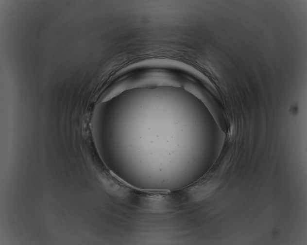X0000091720237200708241357