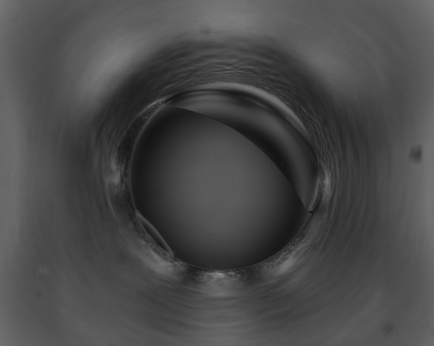 X0000091720239200708241356
