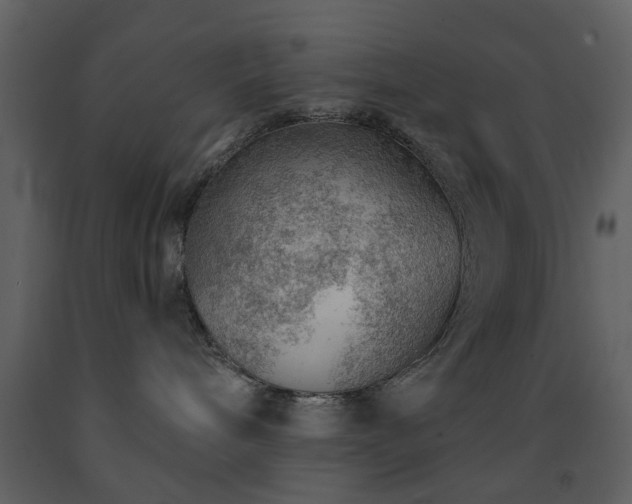 X0000091720240200708241356