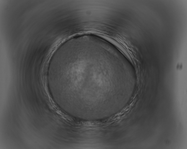 X0000091720241200708241356