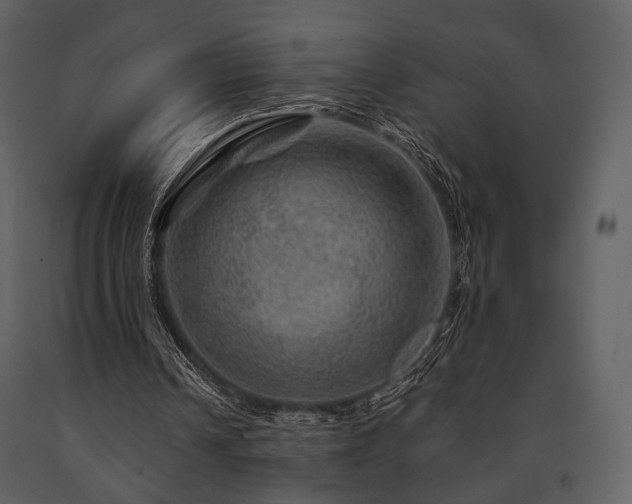 X0000091720242200708241356