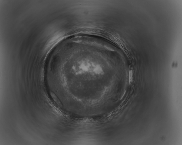 X0000091720243200708241356