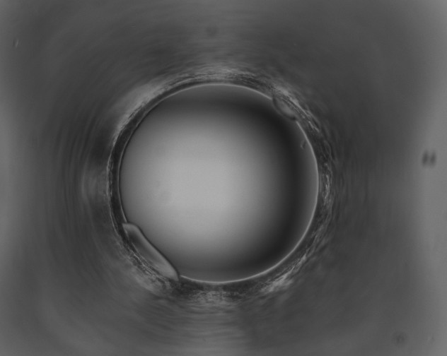 X0000091720244200708241356