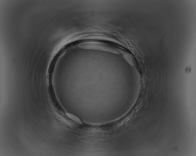 X0000091720246200708241356
