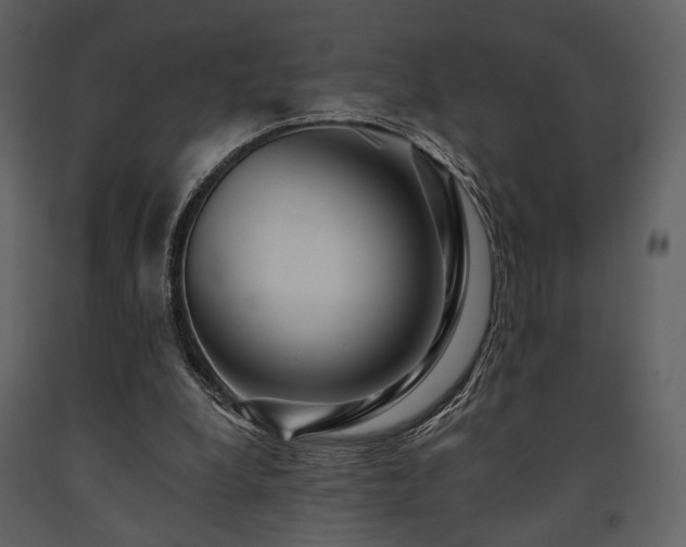 X0000091720248200708241356