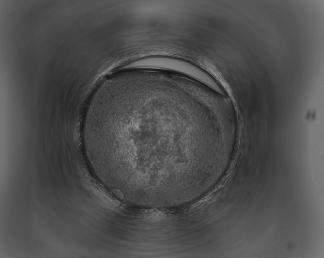 X0000091720249200708241356