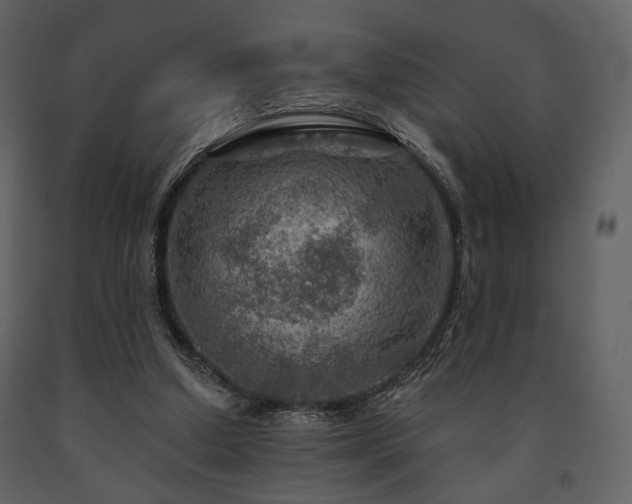 X0000091720250200708241356