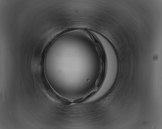 X0000091720252200708241356