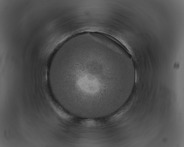 X0000091720253200708241356