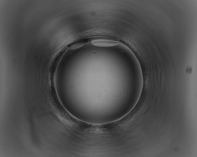 X0000091720254200708241356