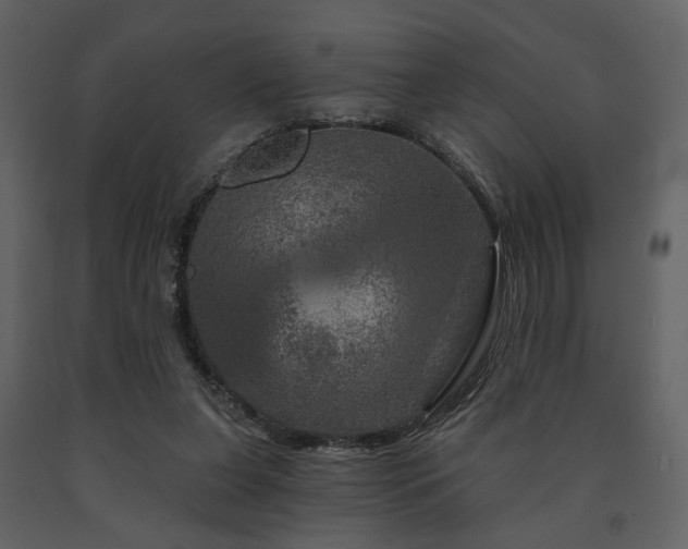 X0000091720255200708241356