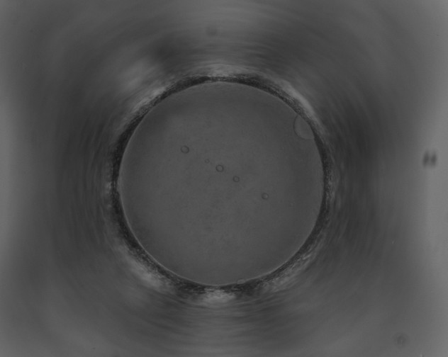 X0000091720257200708241356