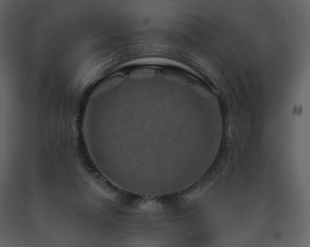 X0000091720258200708241356