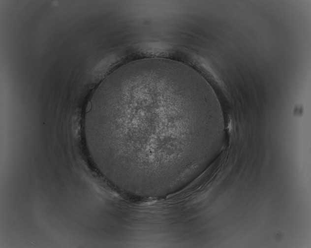 X0000091720259200708241356