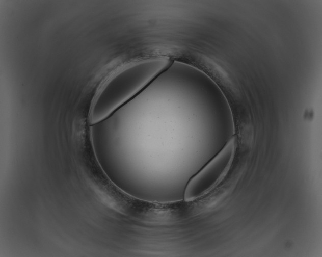 X0000091720260200708241356