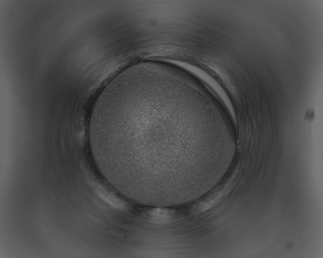 X0000091720261200708241356