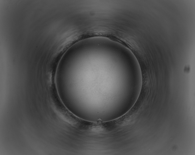 X0000091720262200708241356