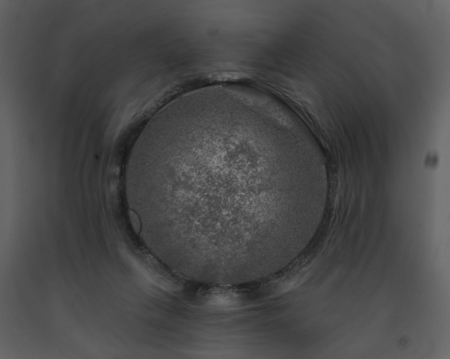 X0000091720263200708241356