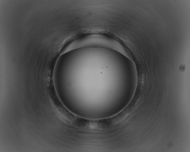 X0000091720264200708241356